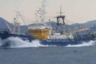 旋網漁業 開成水産株式会社 公式ホームページ